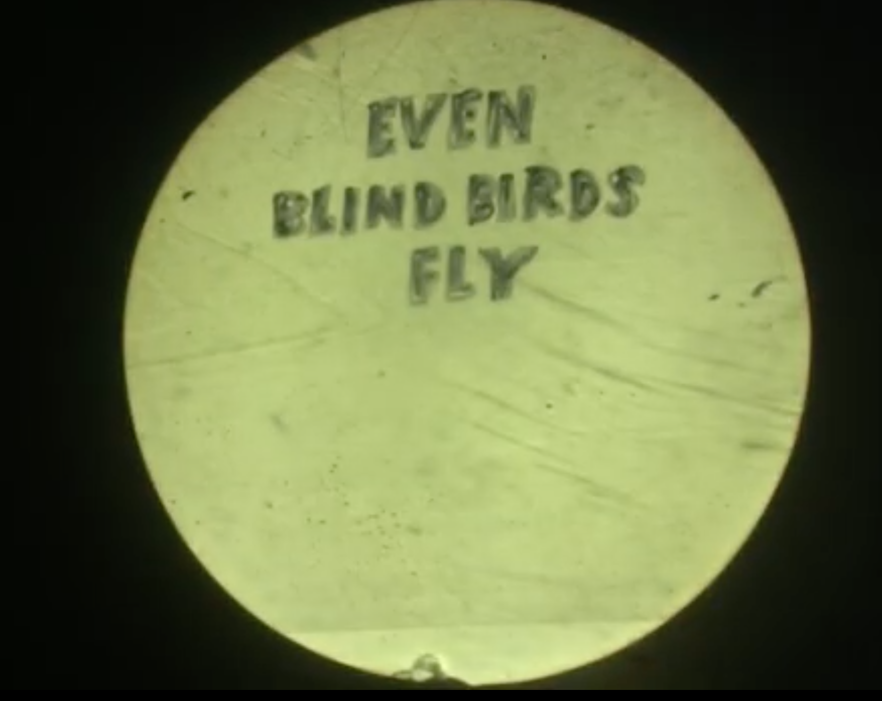 Even Blind Birds Fly