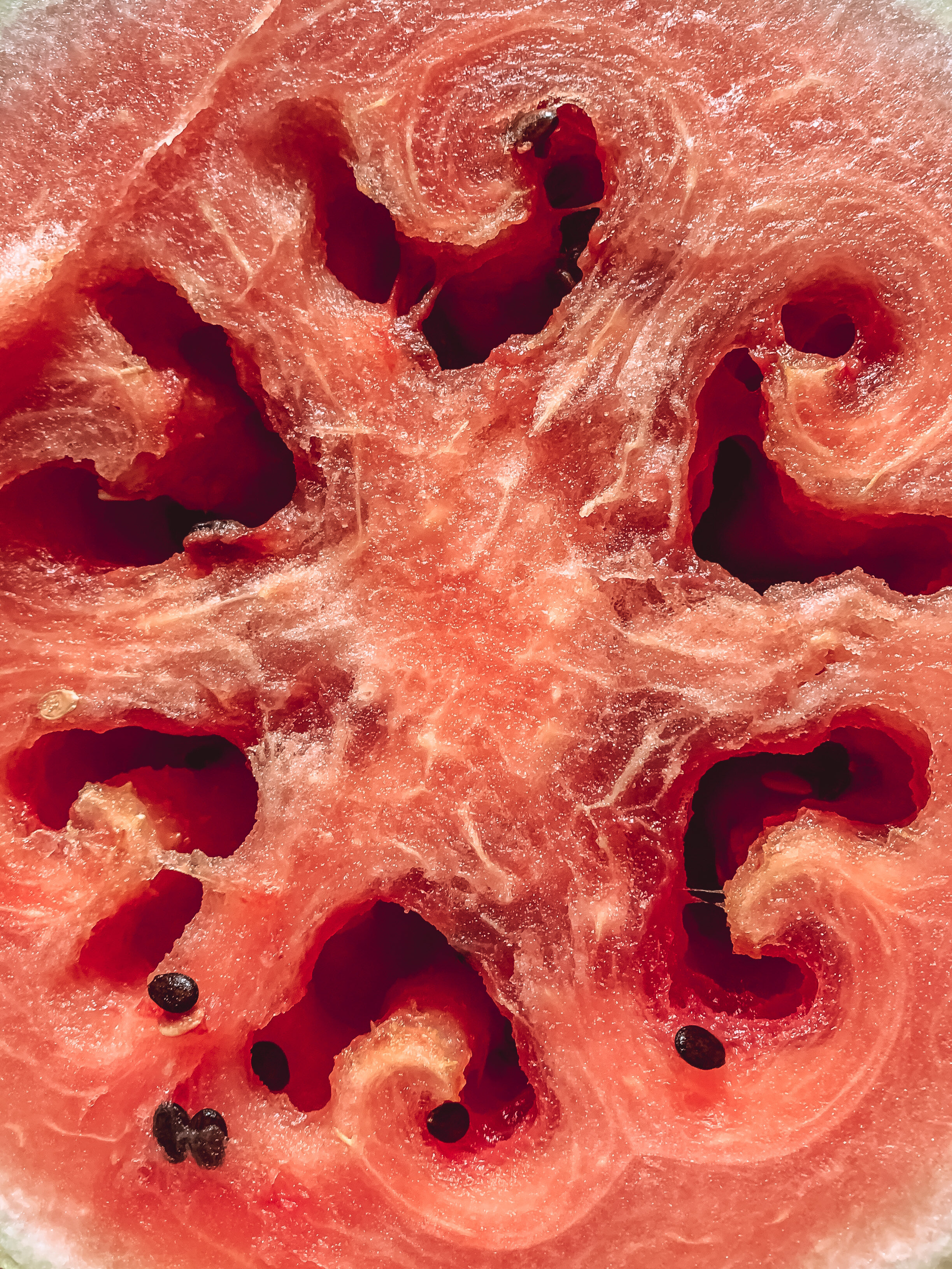 Something inside me is dying.