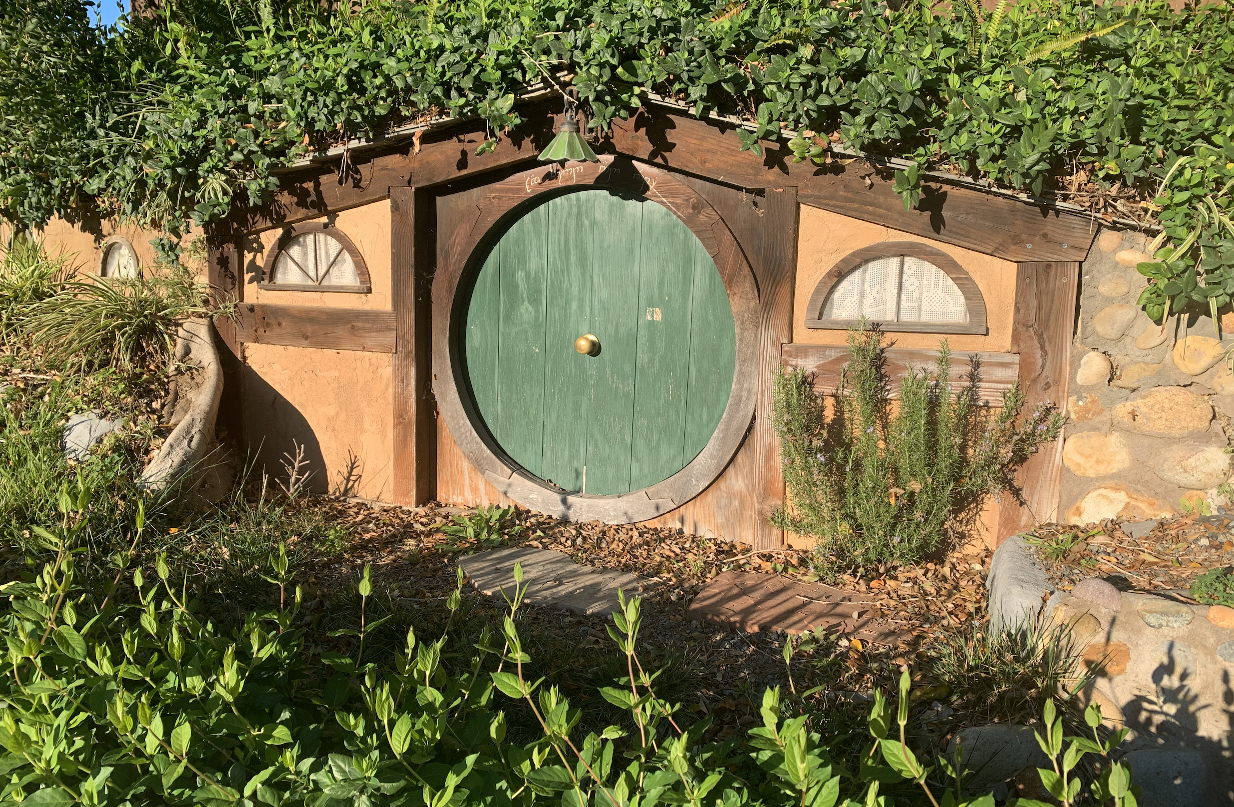 The Portals of COVID-19