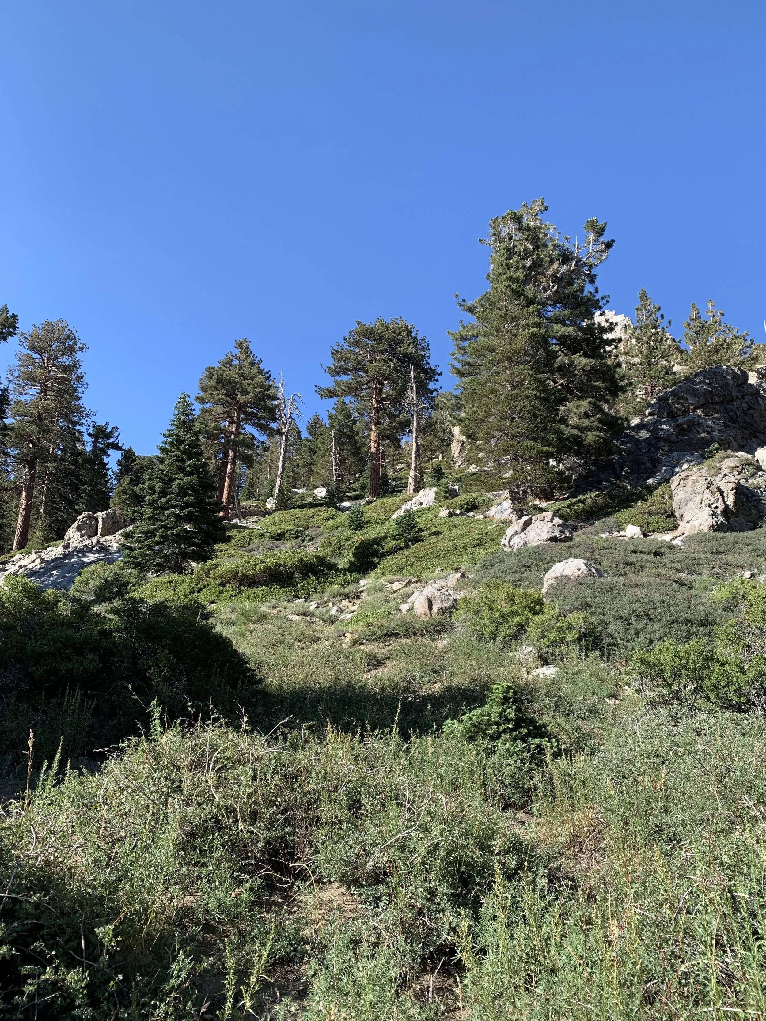 The Paradox of Change