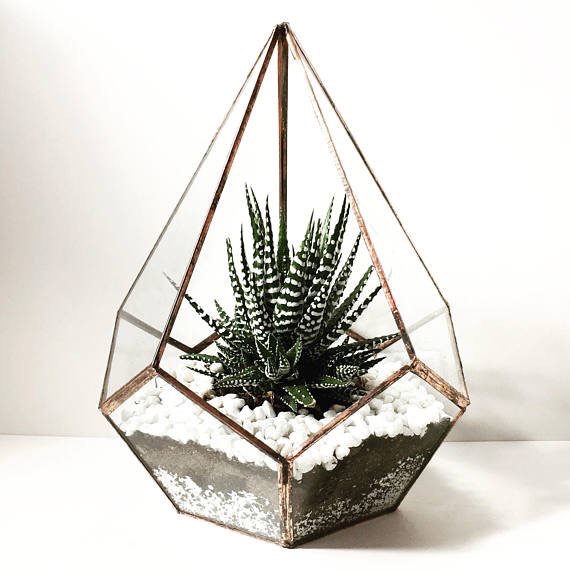 Terranium DIY