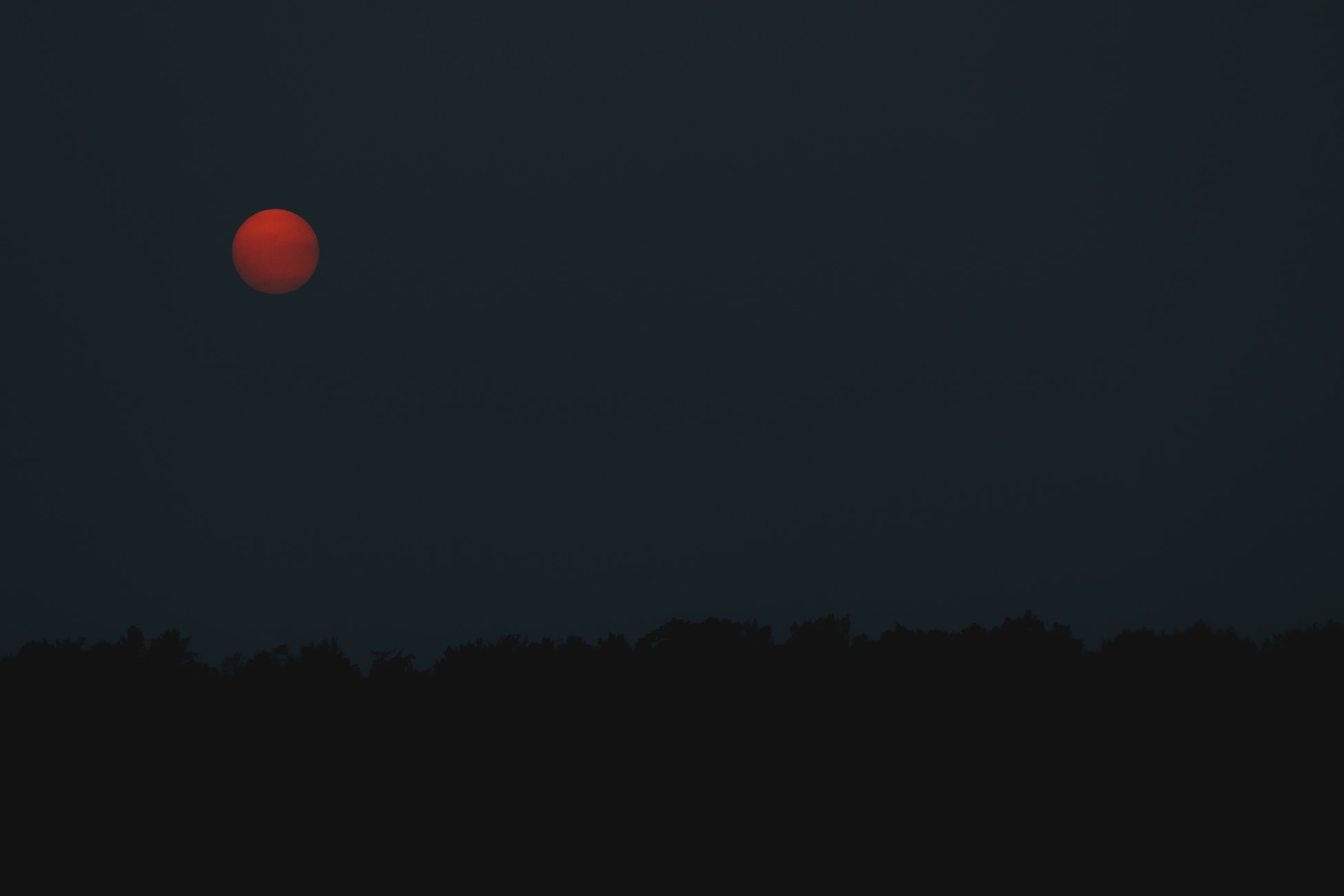  Photo by Kelly Sikkema. 