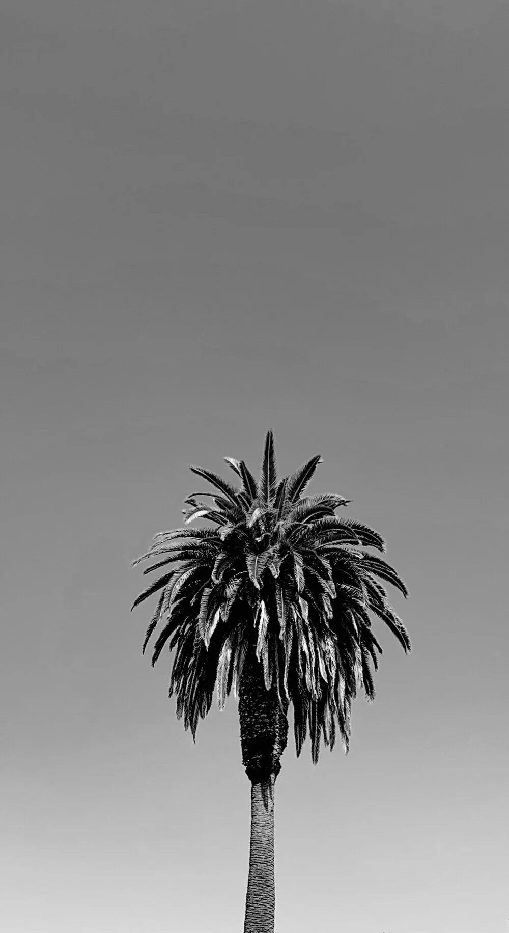  Photo by eatdesignlife&nbsp; 