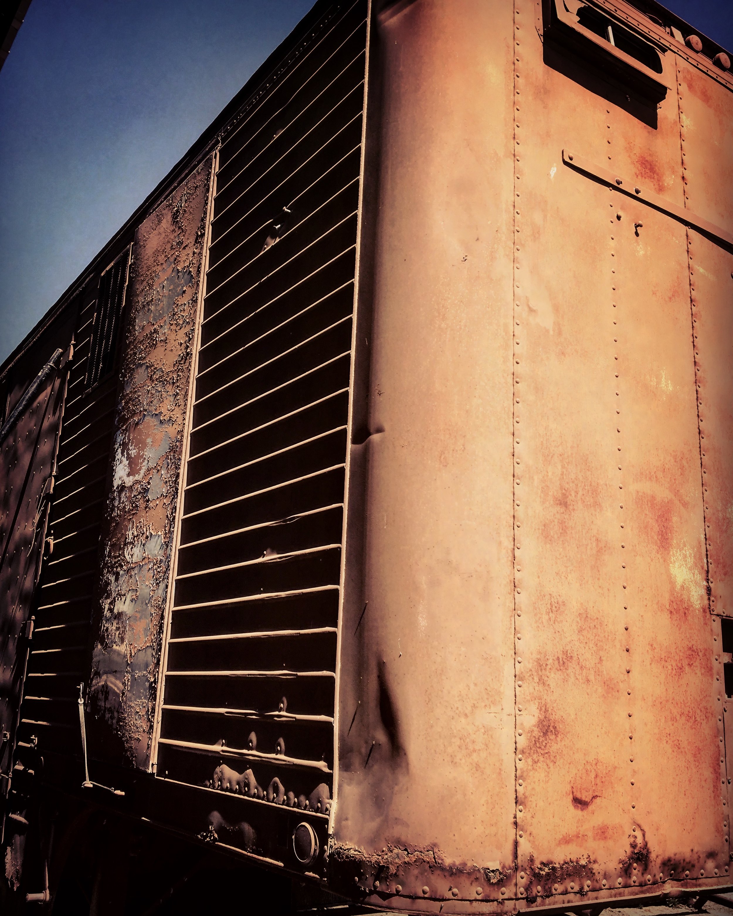  Client: Visit Paso Robles, CA  Photoshoot location: Harris Stagelines Ranch   