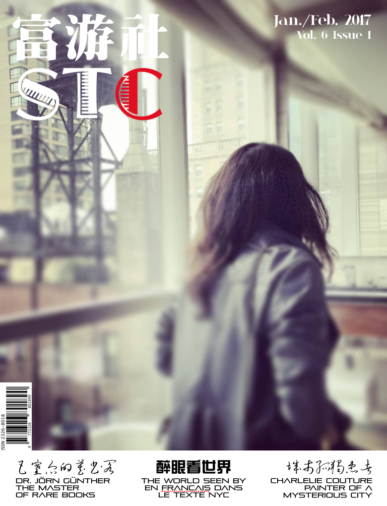 The STC magazine Jan:Feb 2017 Cover.png