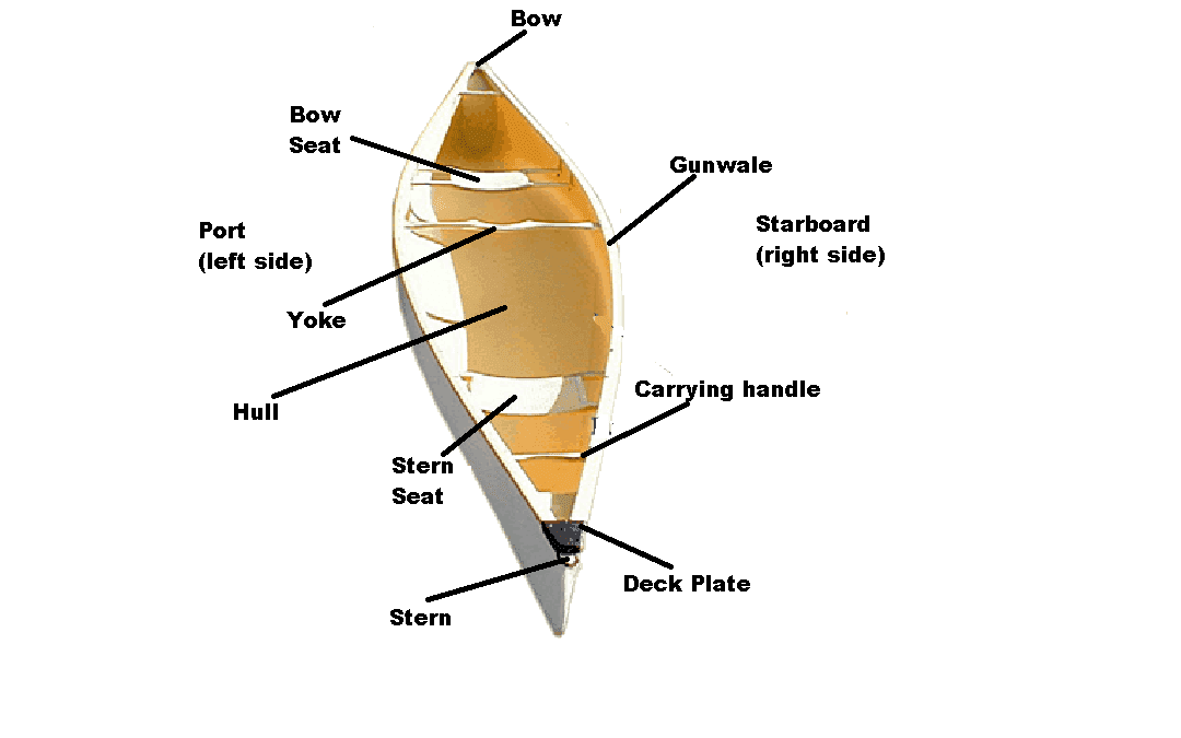 Canoe Basics