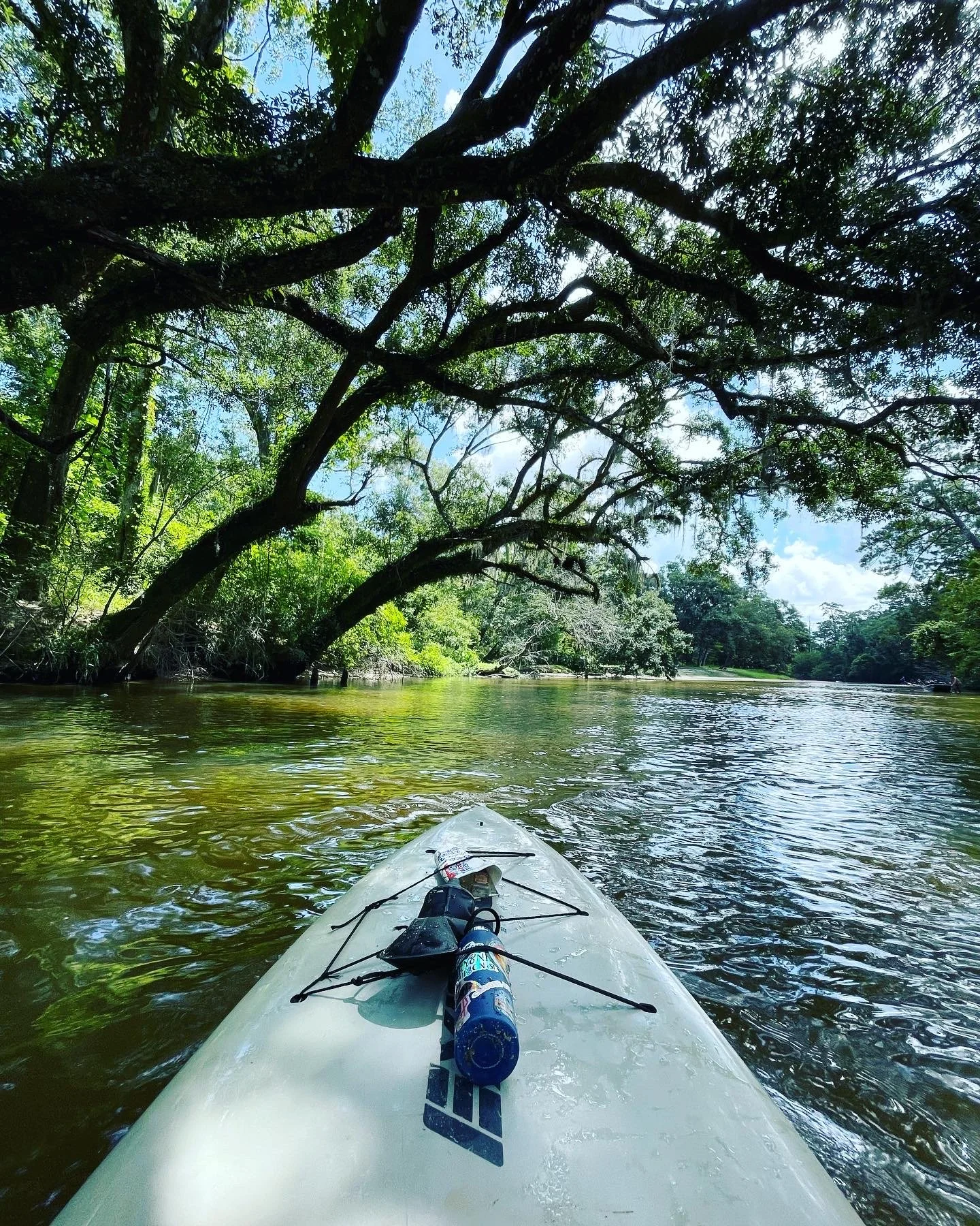 Cane Bayou versus The Bogue Falaya River 