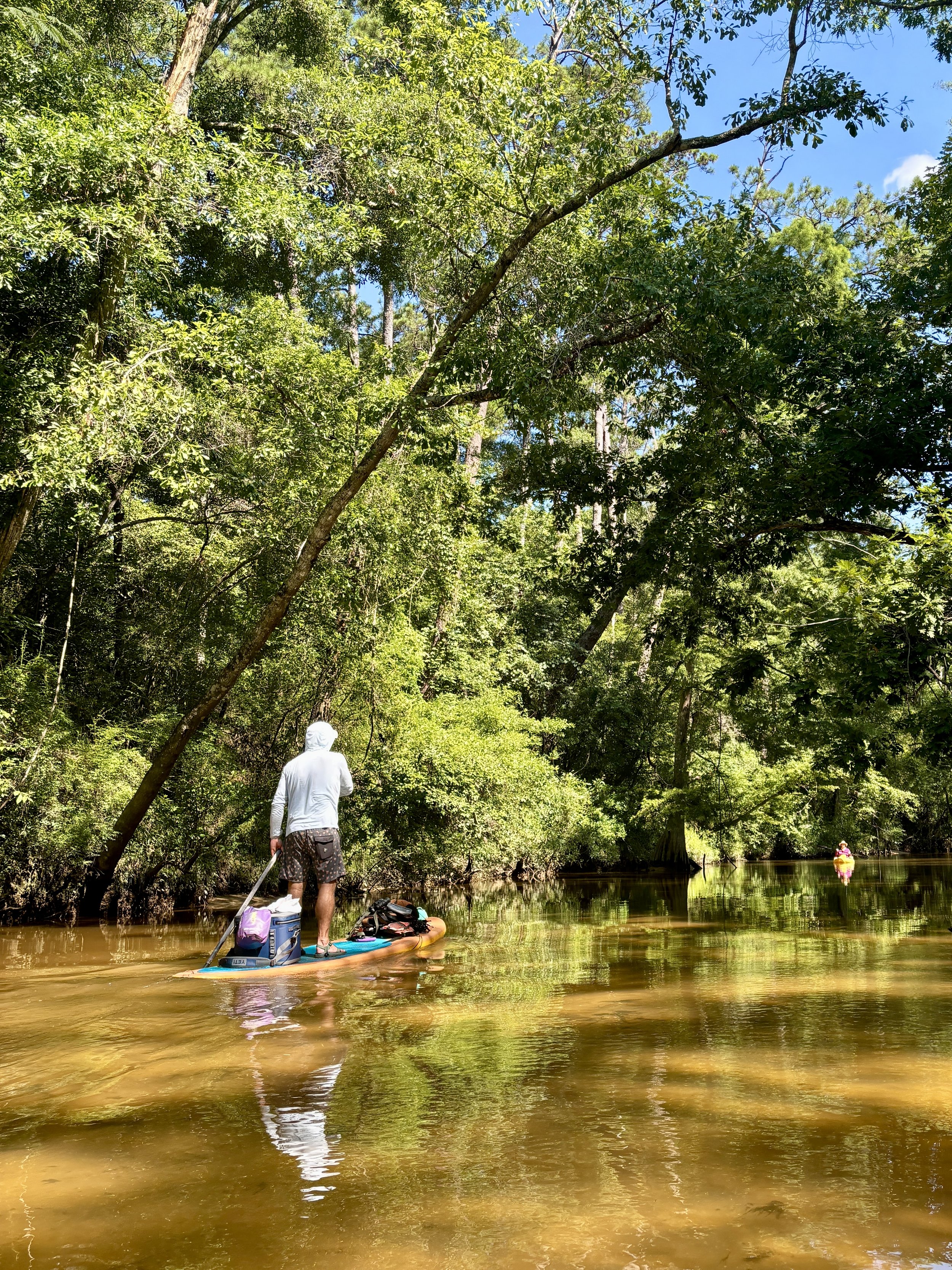 Bogue Falaya River