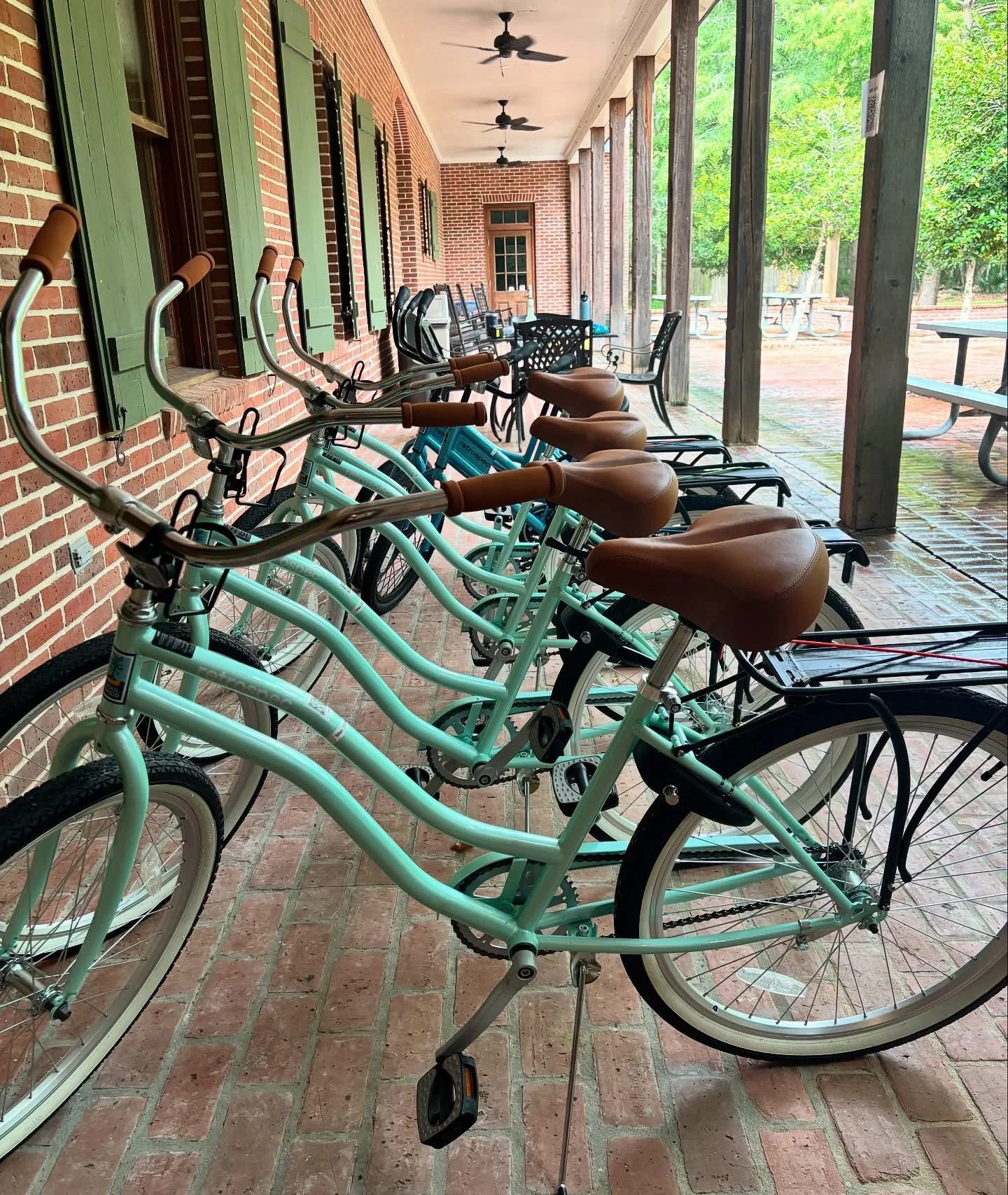 Fontainebleau Bikes.JPG