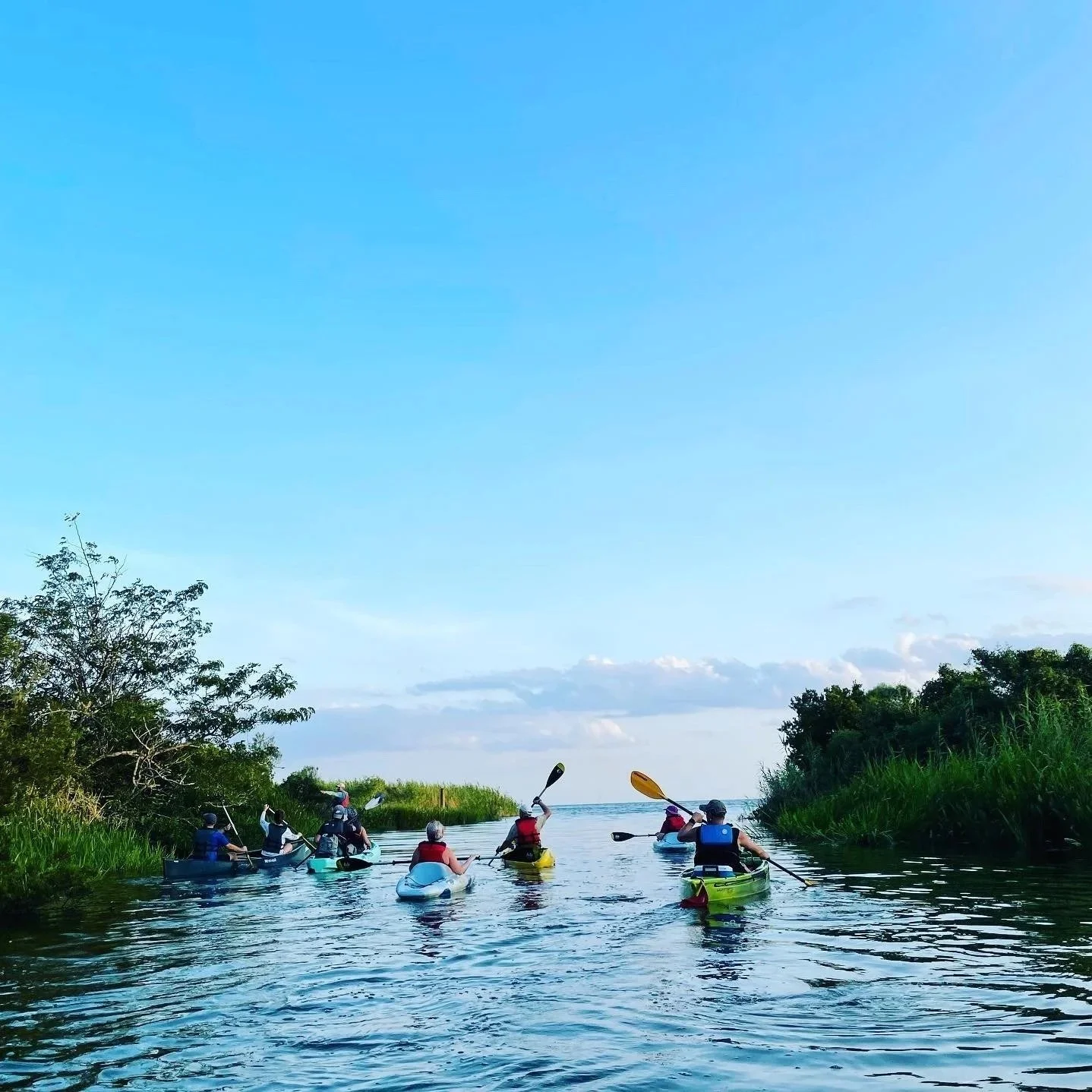 Cane Bayou