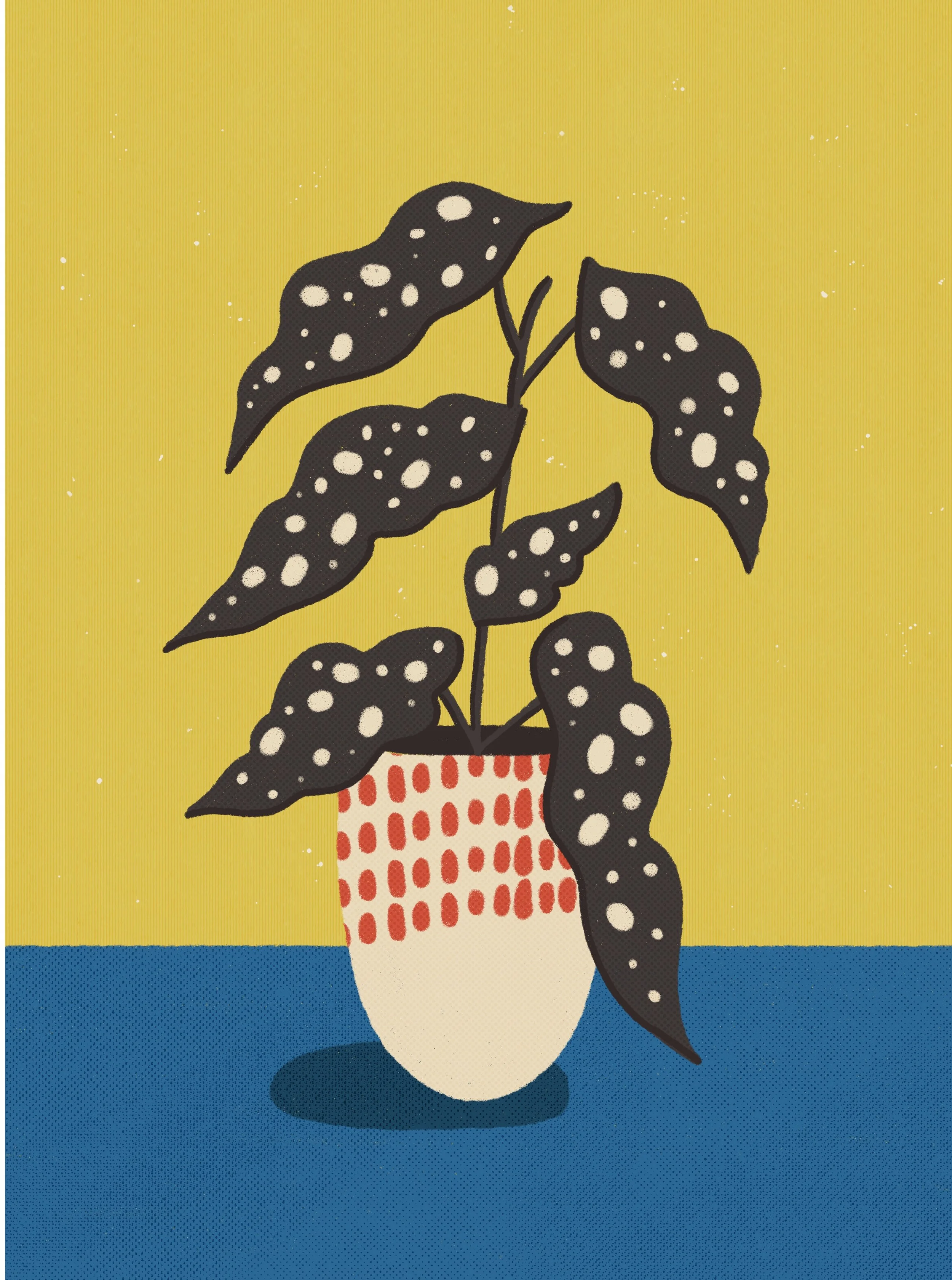 Untitled_Artwork 9 (1).JPG