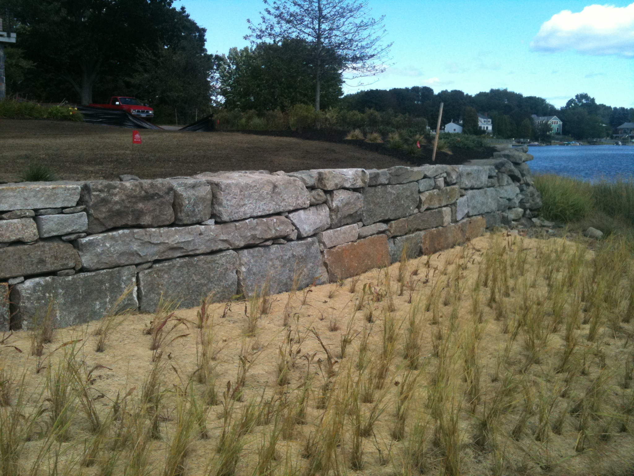 Granite Seawall and Restoration Planting.JPG