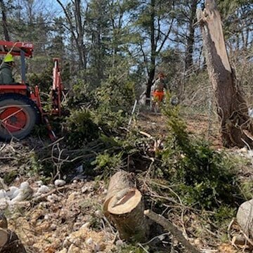 Storm clean-up after recent winds knocked a tree down here on the Seacoast. 

Do you need some brush clearing, trees removed, or invasive plants ousted? Call us at (207) 438-9995, visit SiteStructuresLandscape.com, or email Leigh Lessard at leigh@sit