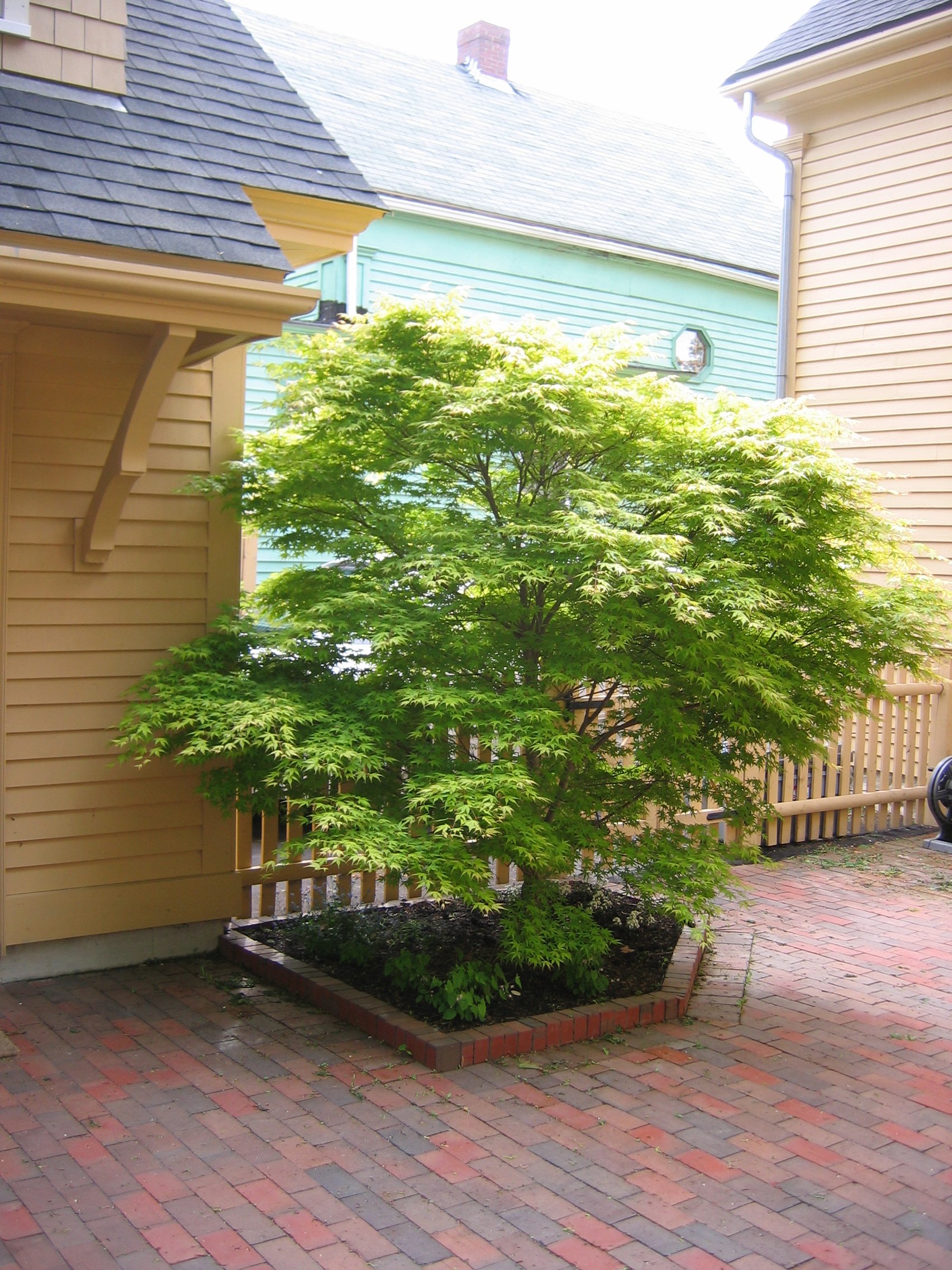 Morin Artisian Brick Patio and Raised Planter.JPG