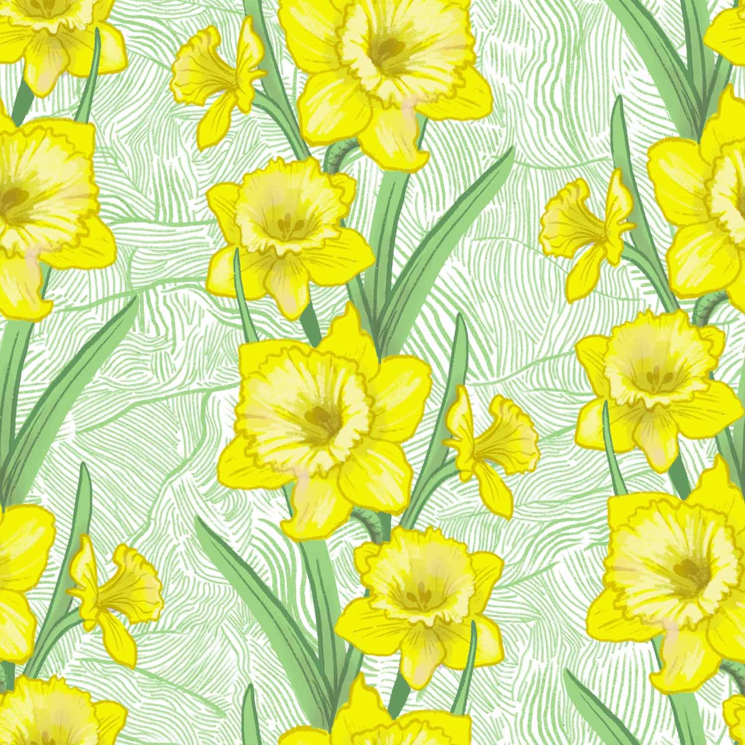 jominca-daffodils-web.jpg