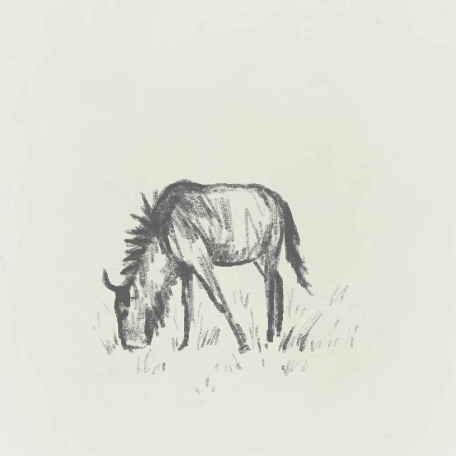 jominca-wildebeest-sketch-web.jpg