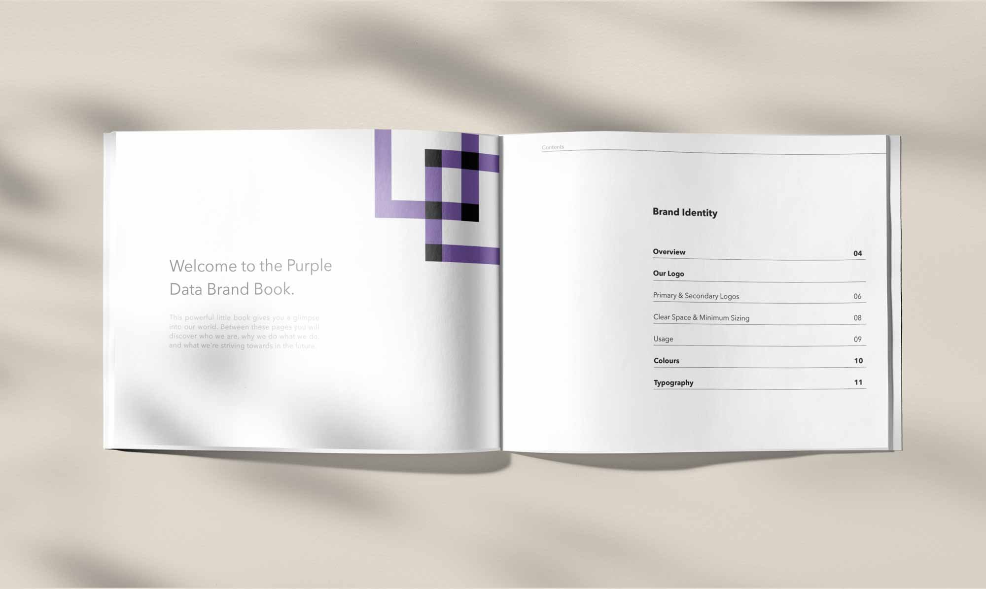 purple-data-brand-book.jpg