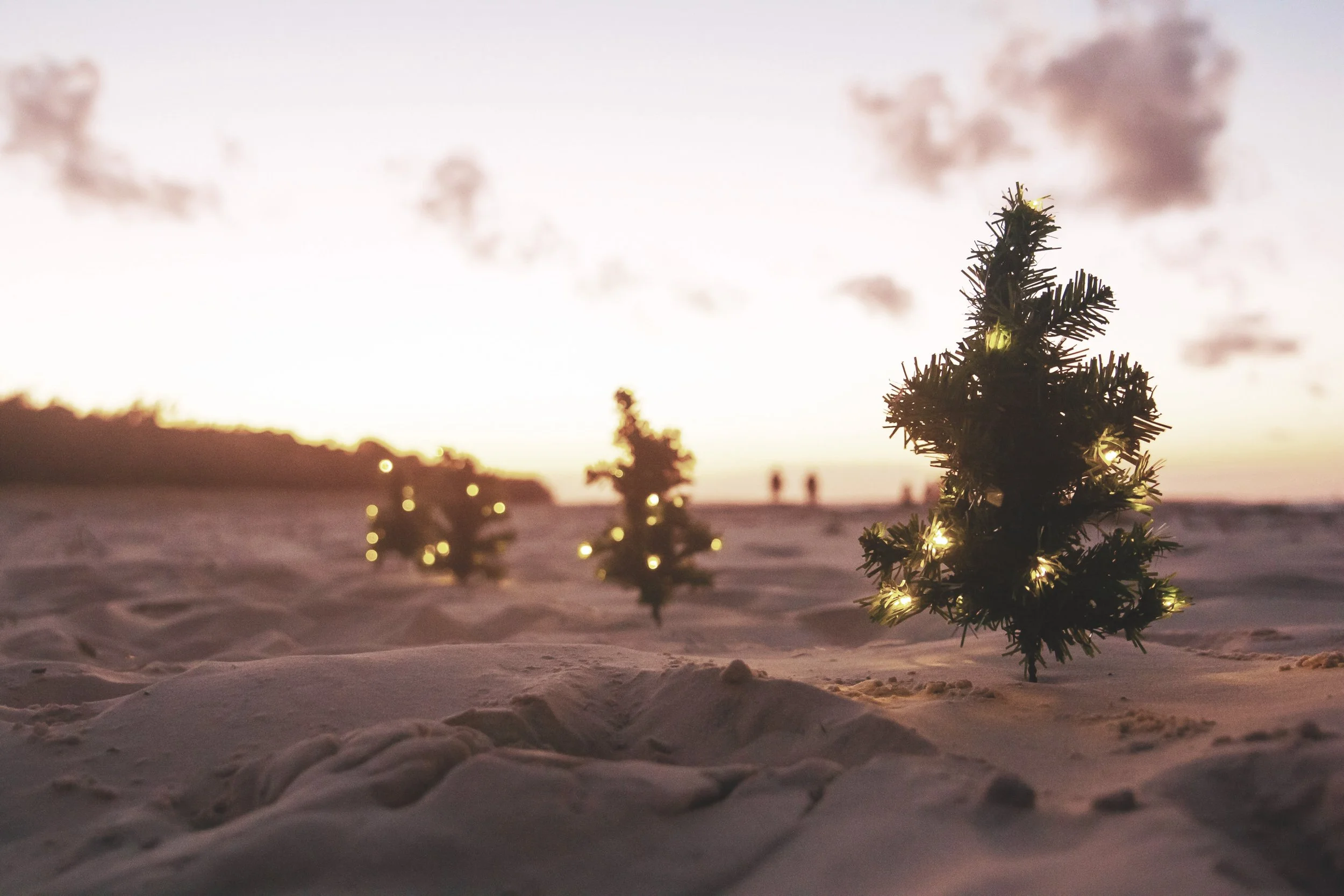 Another Christmas Tale - 6th December