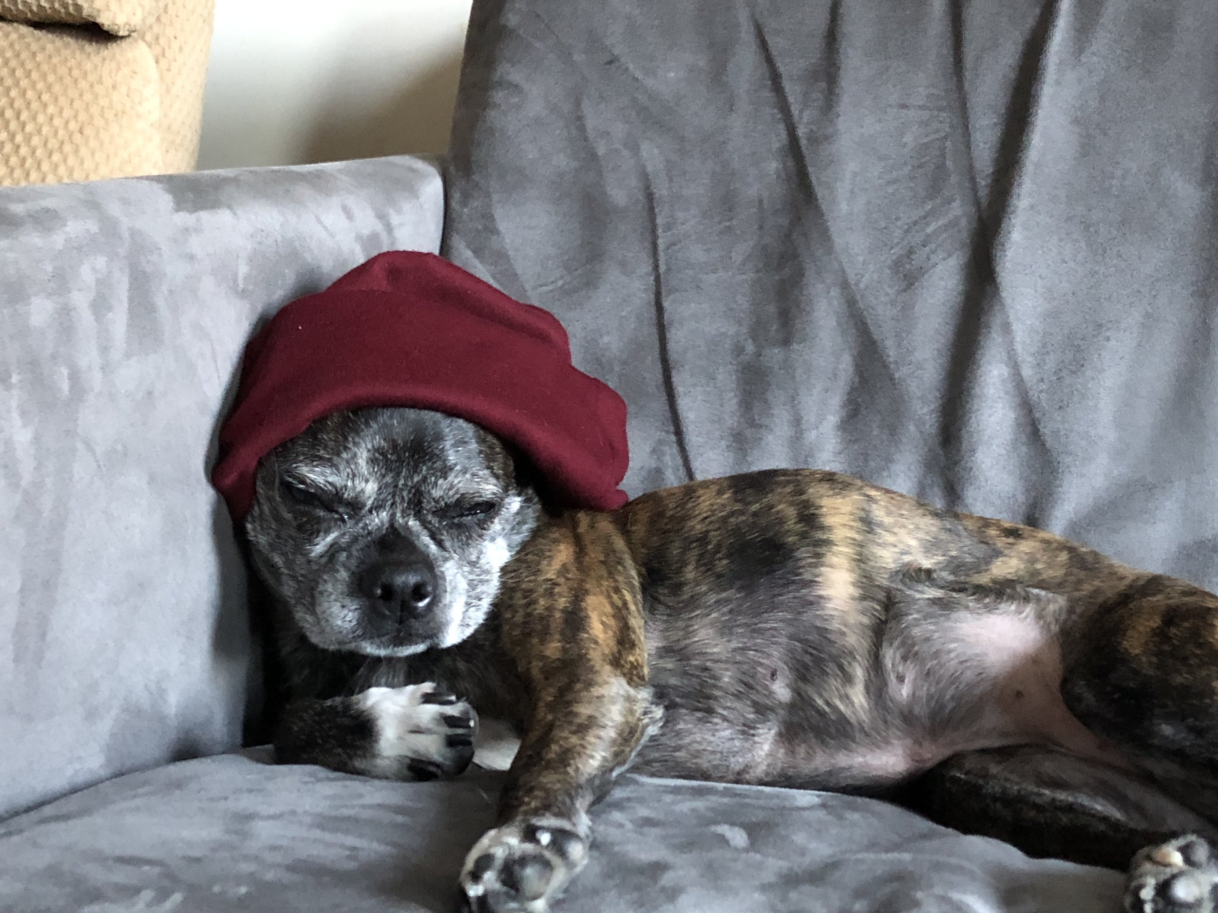 Oh, Abby!