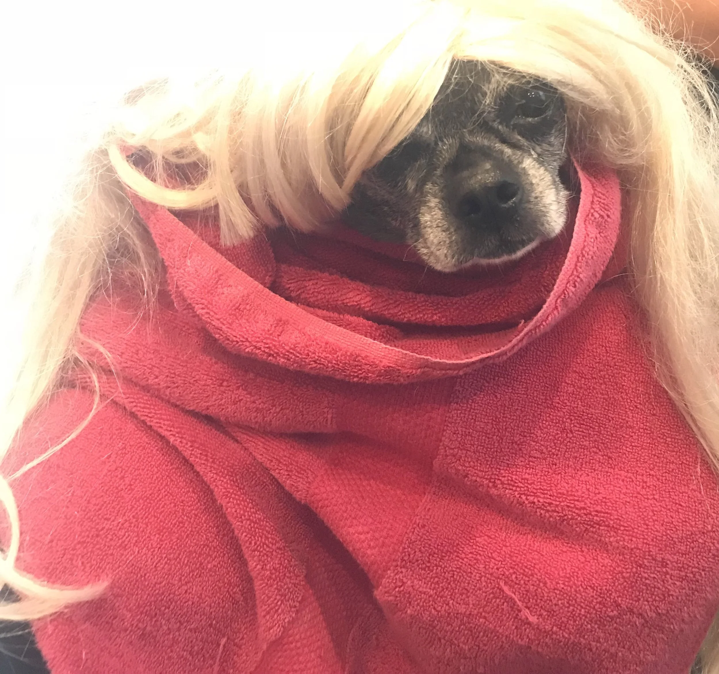 Abby Living Her Best Life