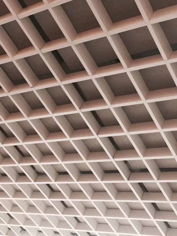 The Espe & Papa Podcast: Animals