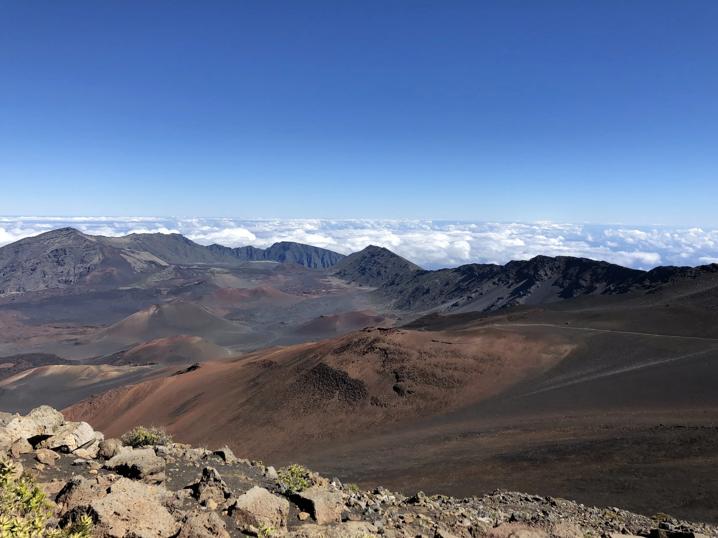 Career Counselor: A Haiku (Some thoughts on my work)