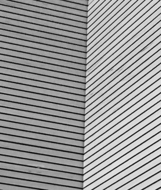 CSO Radio Episode 1: Ask A Student/Ask Al