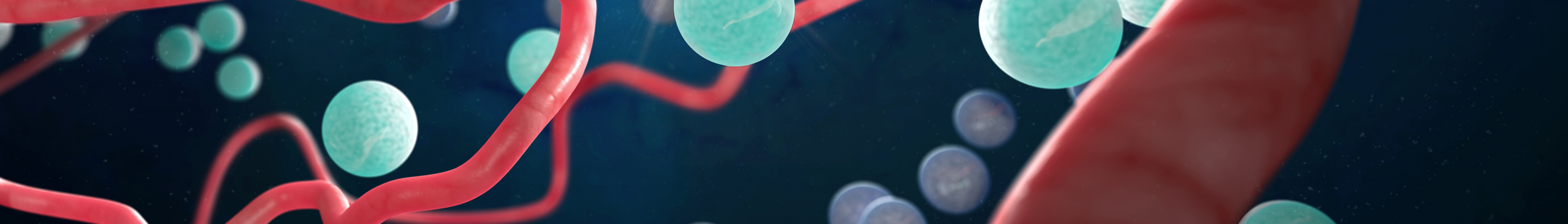 research_header.png