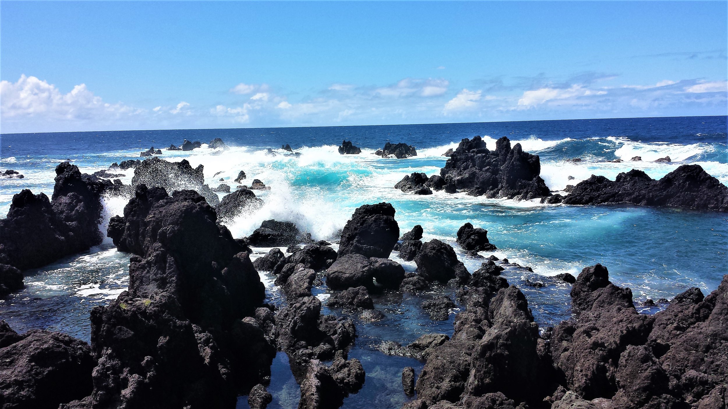20160524_142610-copy1.jpg