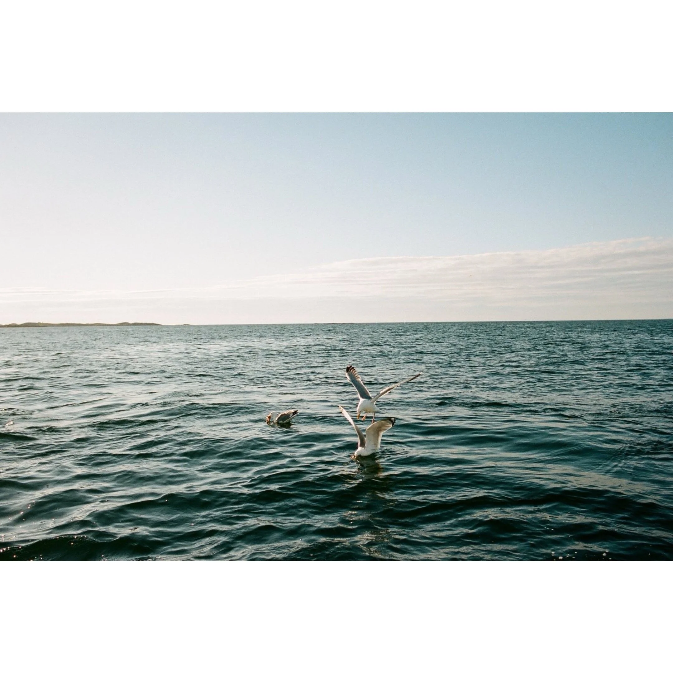 09094EB7-6AC3-43A7-8CED-674898B72740