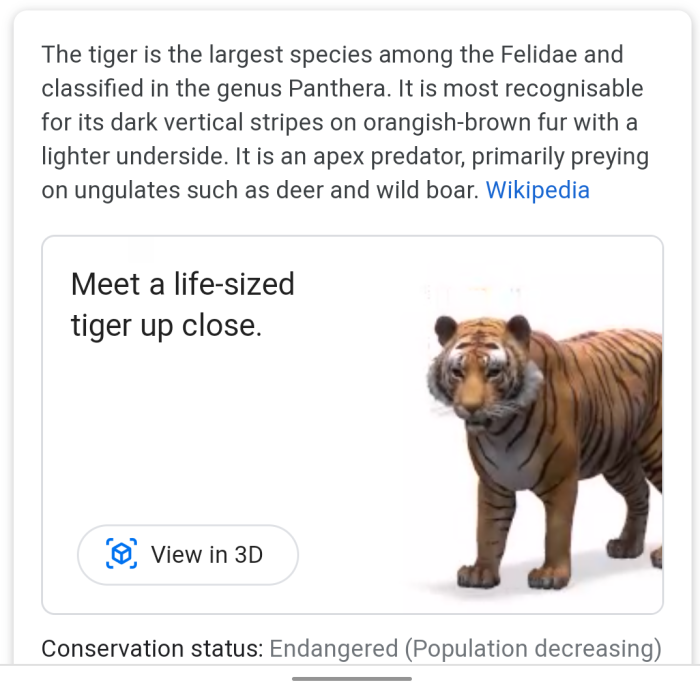 Google 3D animals: how you can see AR tigers, dogs, lions, and penguins on  Google