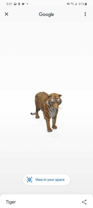 Google AR Animals