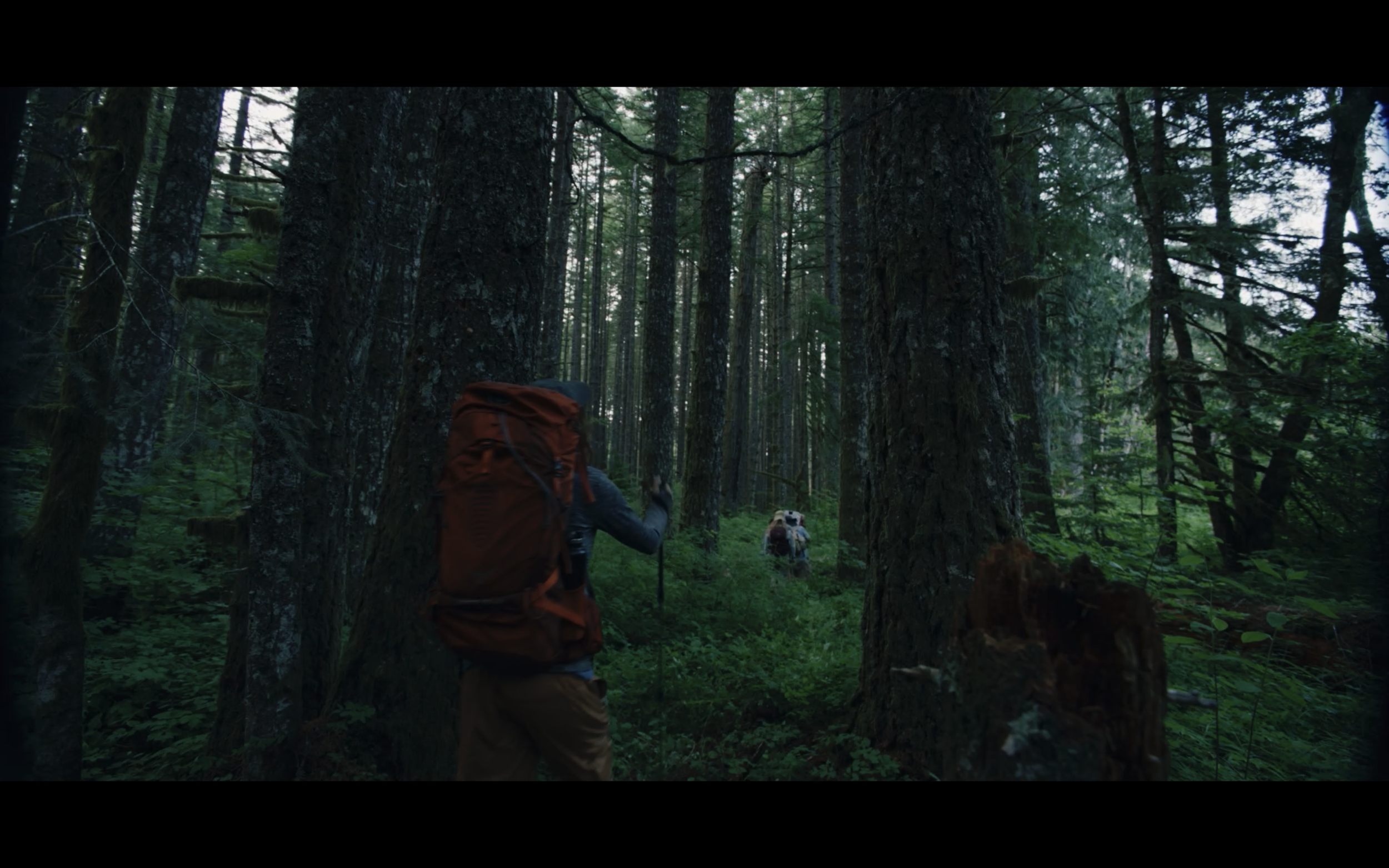 Screen Shot 2025-10-16 at 12.49.30 PM.png