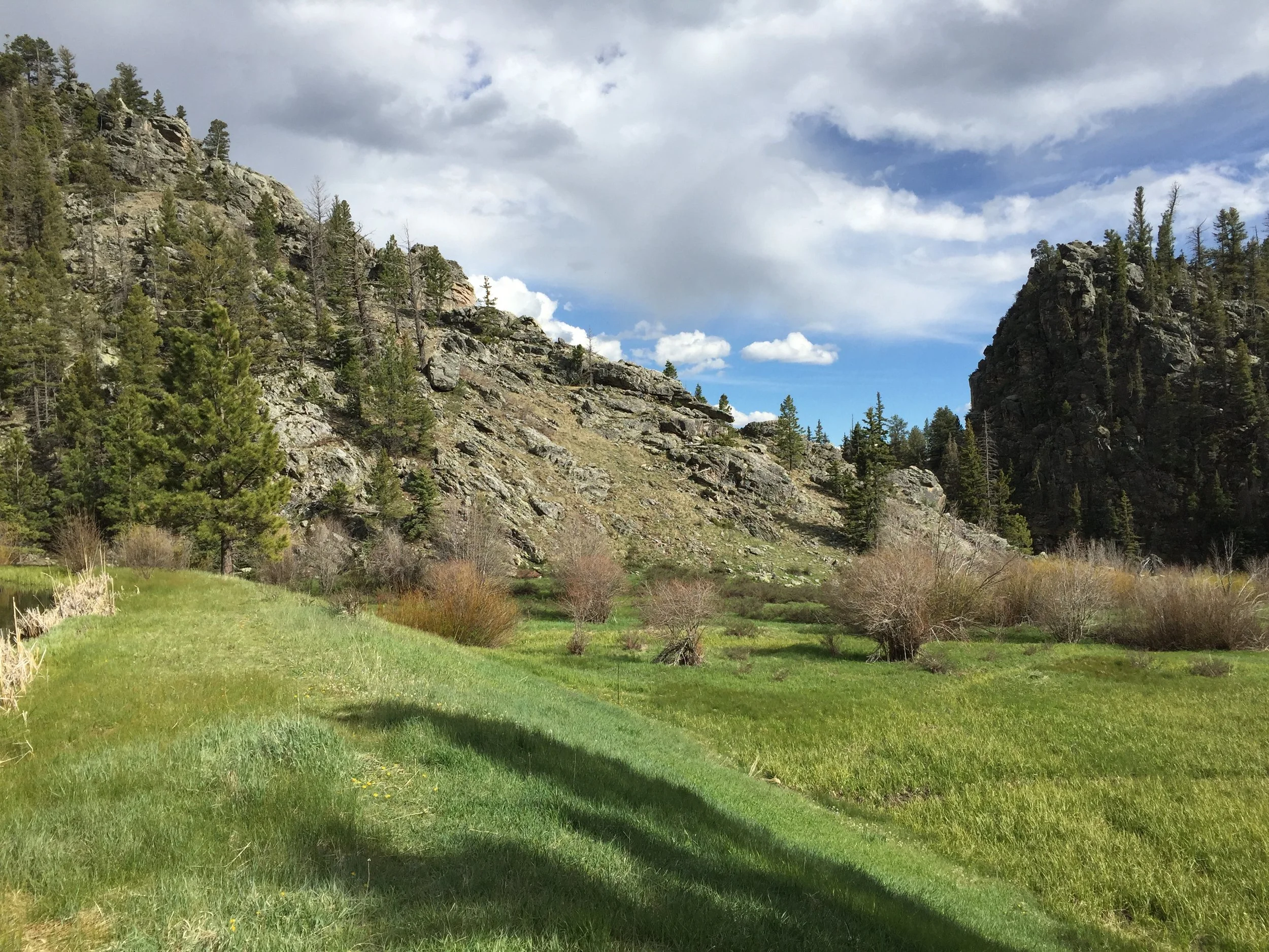 Wilderness is medicine