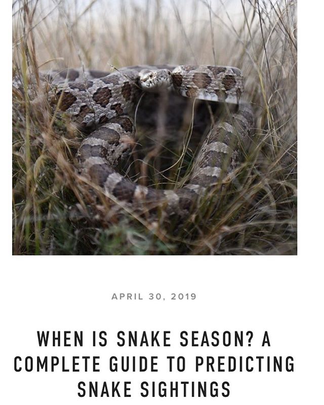 Wondering when you&rsquo;ll see that first snake on the trail? Check out our latest blog. Link in bio.