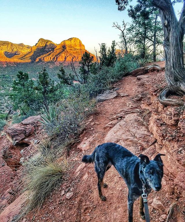 Who hit the #trails this weekend? The #snakesox crew got after it down in #sedona and it did not disappoint...