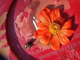 drying bee_preview.jpeg