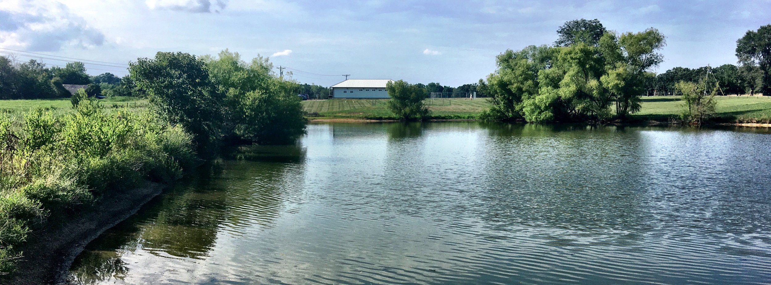 Property from pond.jpg