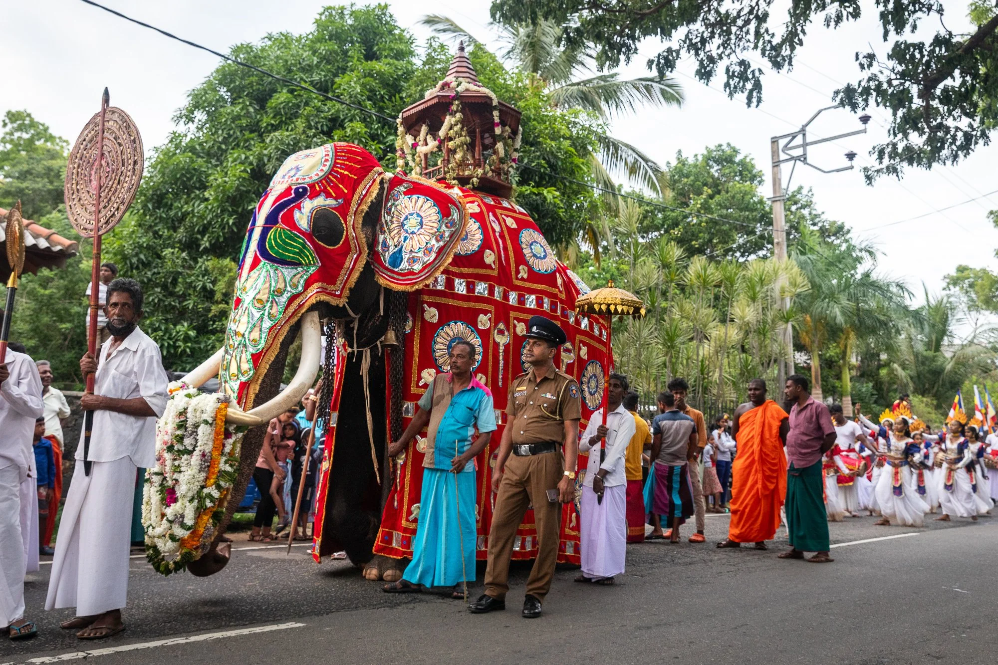 Perahera_SriLanka_08Jul2023_01937-480.jpg