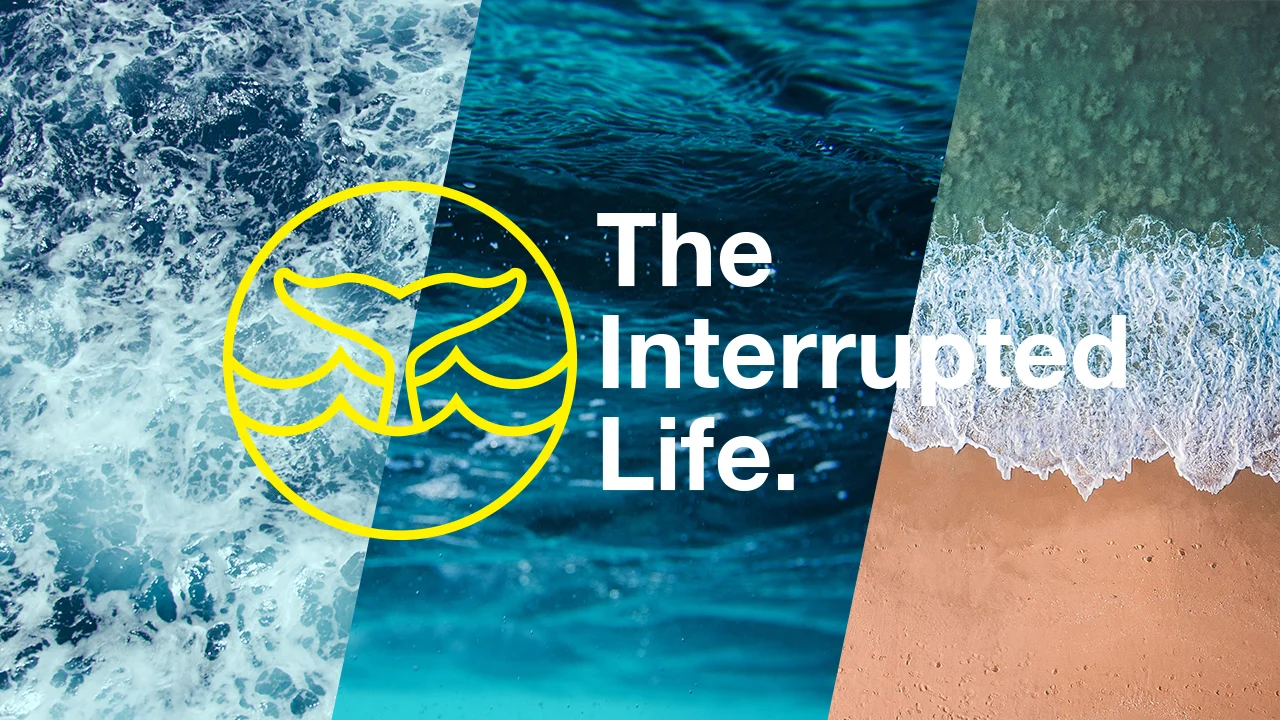 The interupted life.global series title.jpg