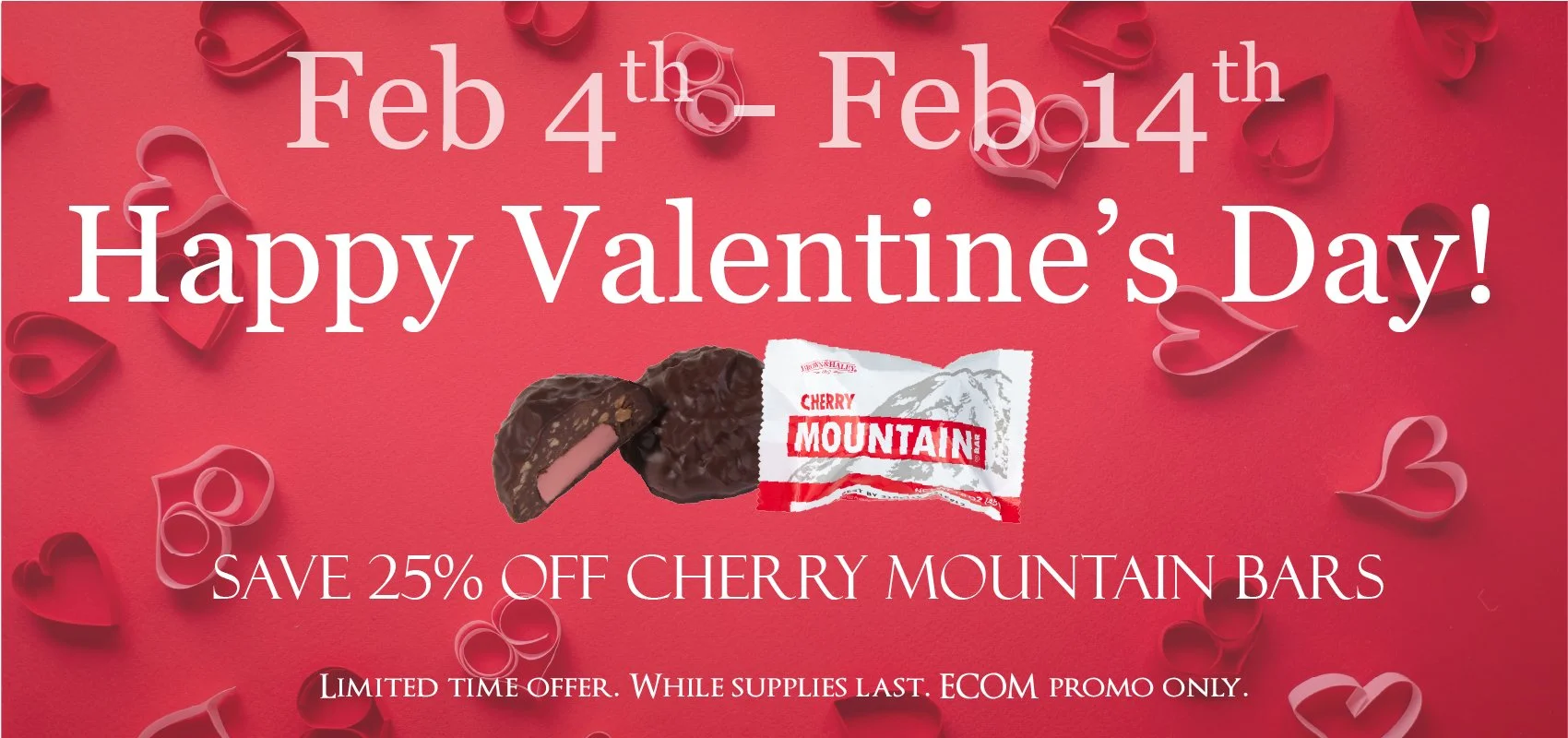 Ecom Banner_Valentine's Day_2024 v1.jpg