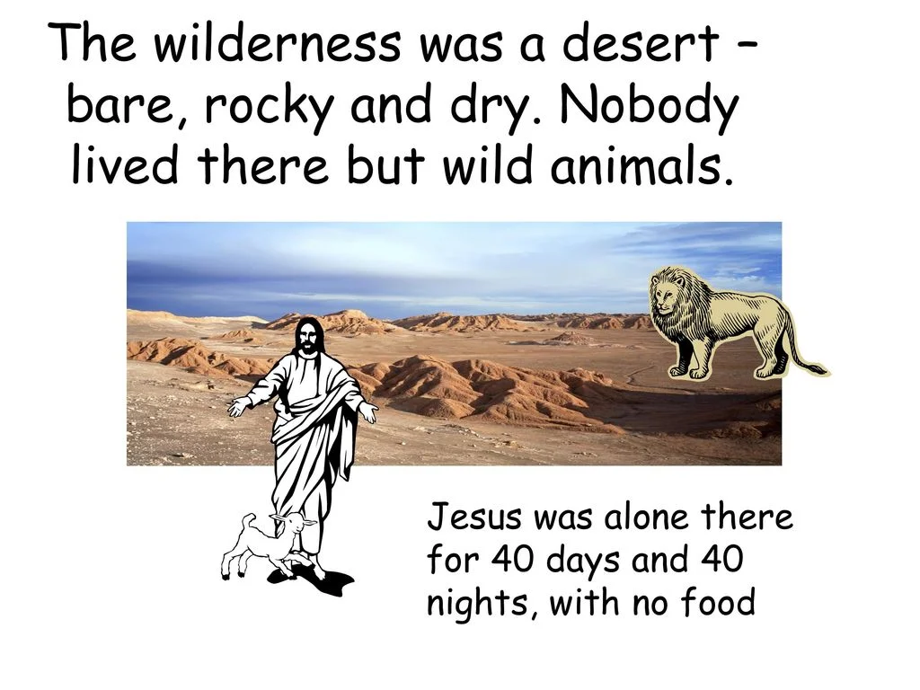 The+wilderness+was+a+desert+–+bare,+rocky+and+dry.jpg