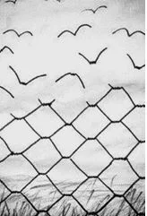 12/9/2018 - Testify to Love:  Under Construction - Luke 3:1-6; Philippians 1:3-11