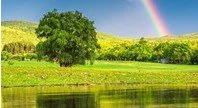 6/21/26 - They Will Not Move Us - Jeremiah 17:5-8; Romans 13:8-10