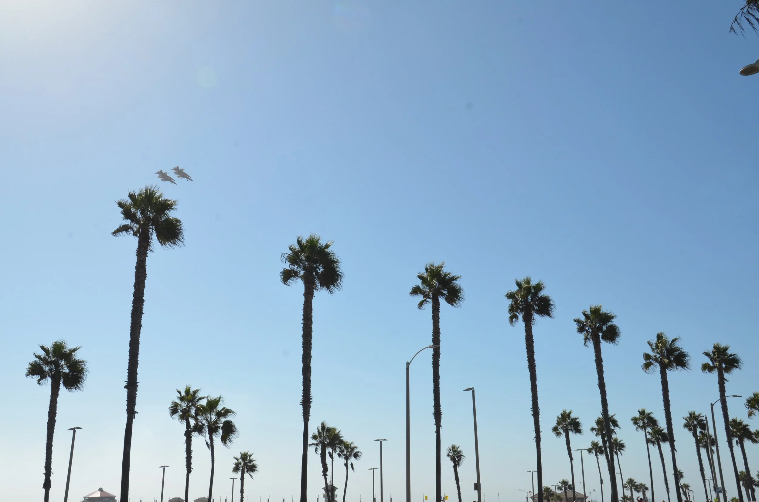 DSC_1078.jpg