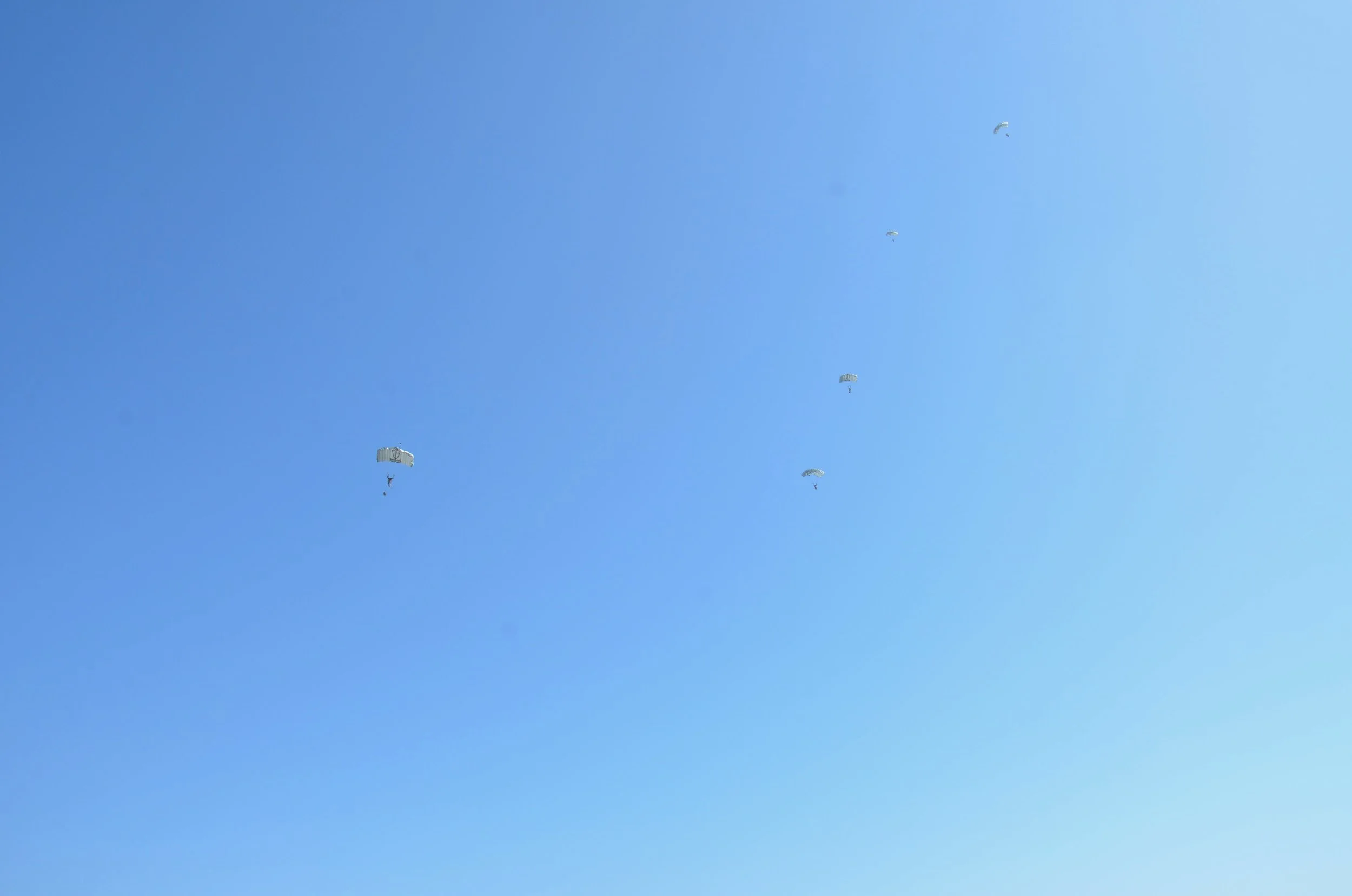 DSC_0966.jpg