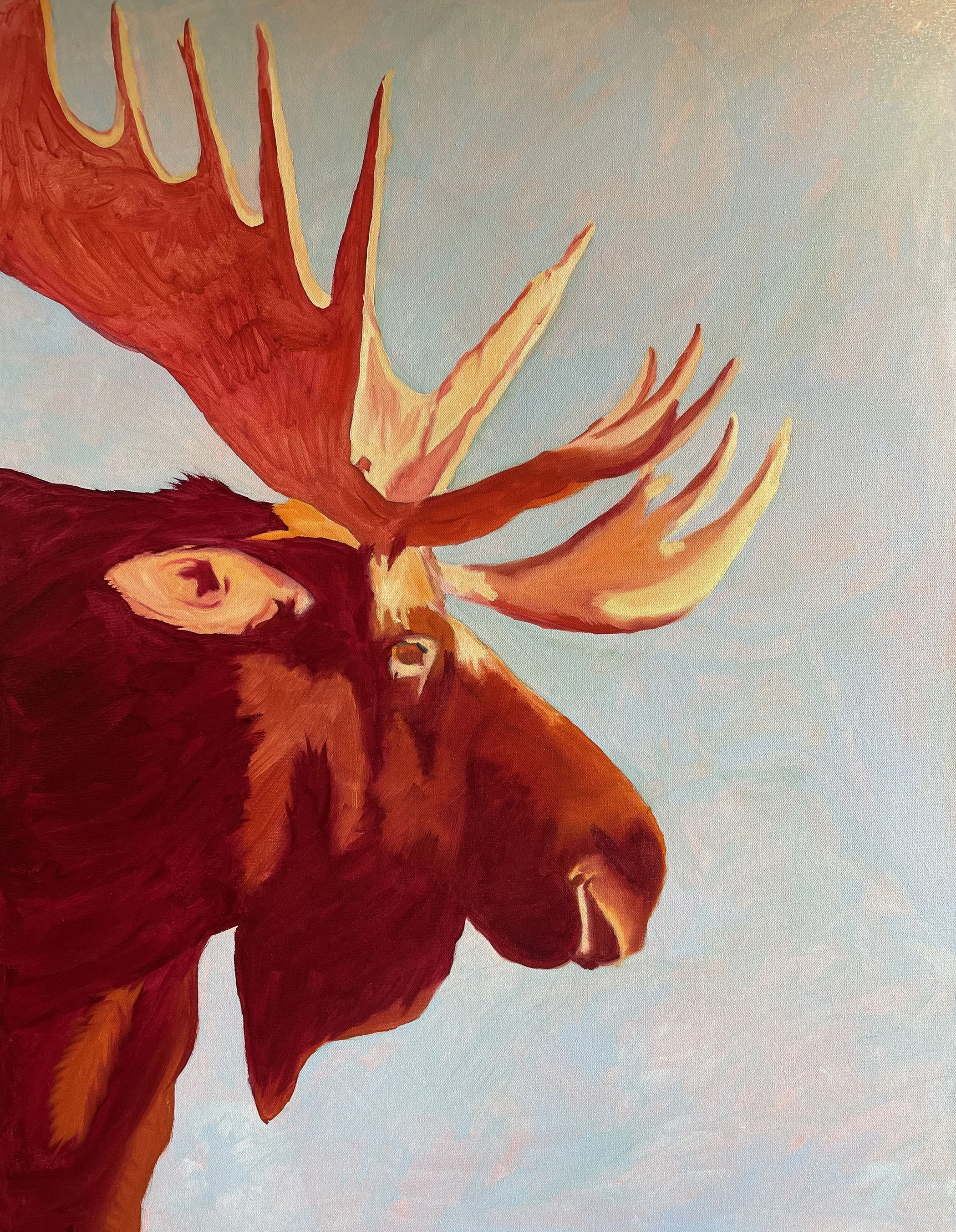 Moose Head 4.jpg
