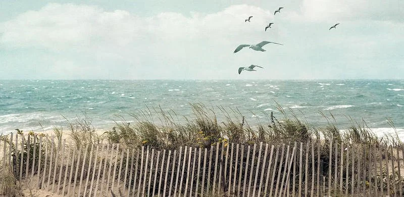 1-cape-cod-beach-scene-juli-scalzi.jpg