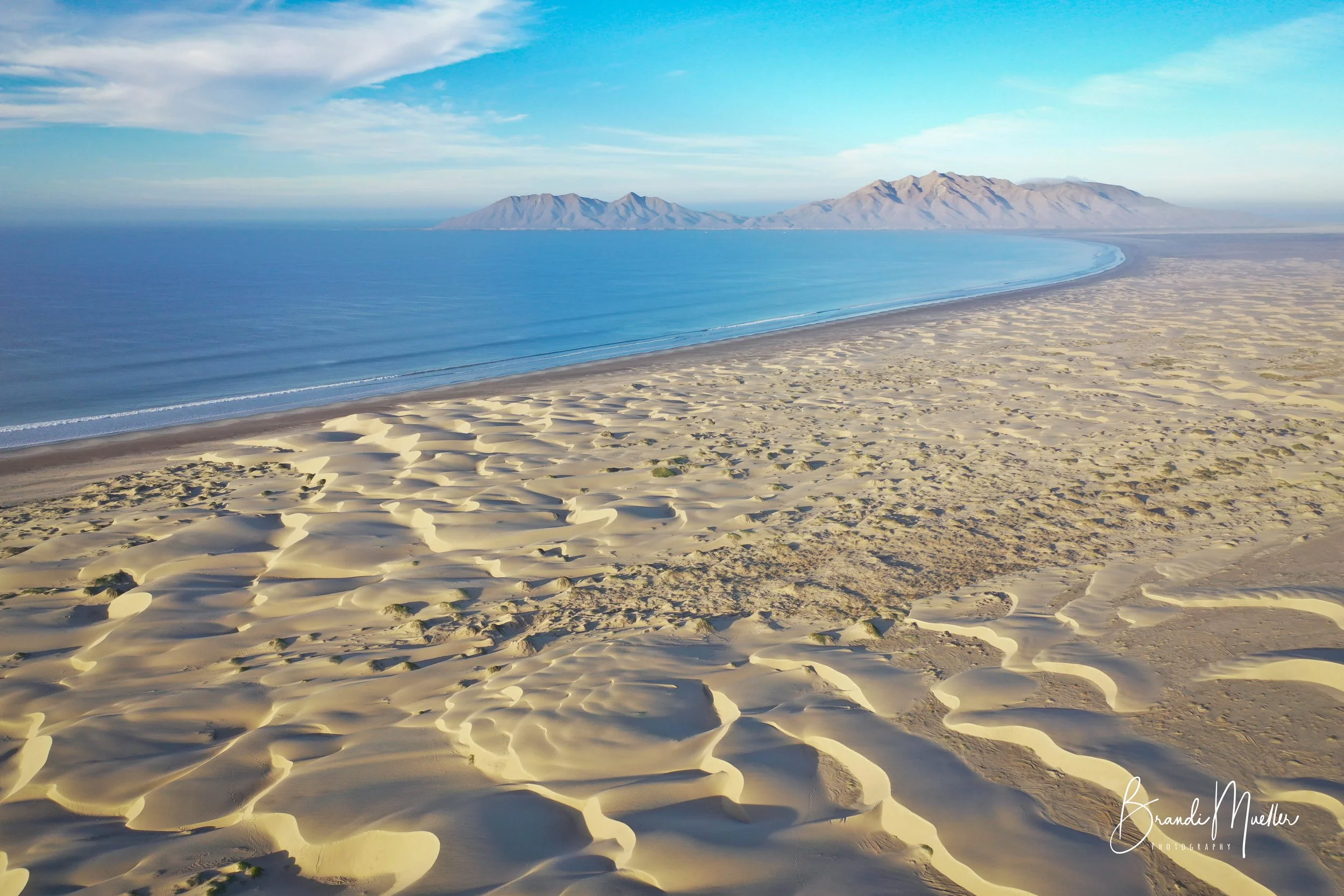 DJI_0445.jpg