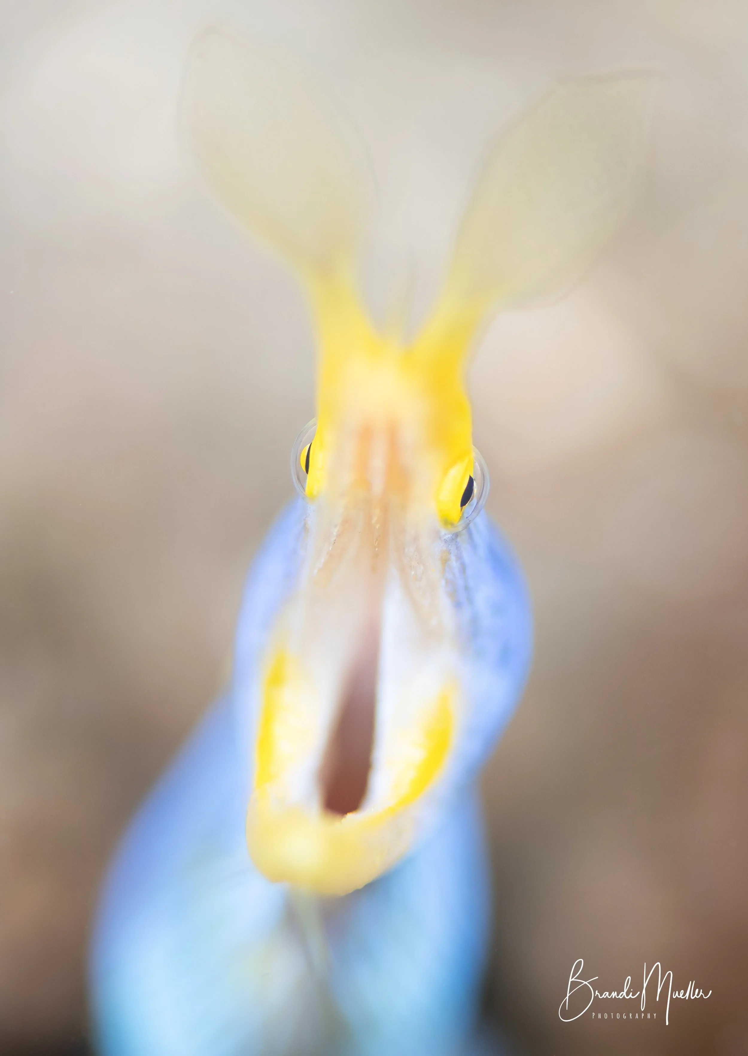 DSC_3090.jpg
